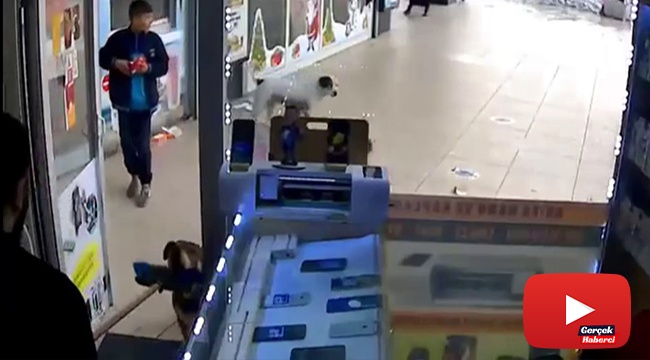 Başıboş köpeklerin vatandaşlara saldırı anı kamerada