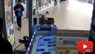 Başıboş köpeklerin vatandaşlara saldırı anı kamerada