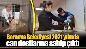 Bornova Belediyesi 2021 yılında can dostlarına sahip çıktı