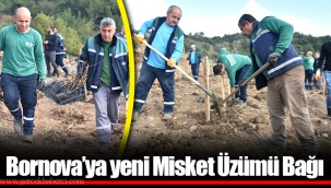 Bornova’ya yeni Misket Üzümü Bağı