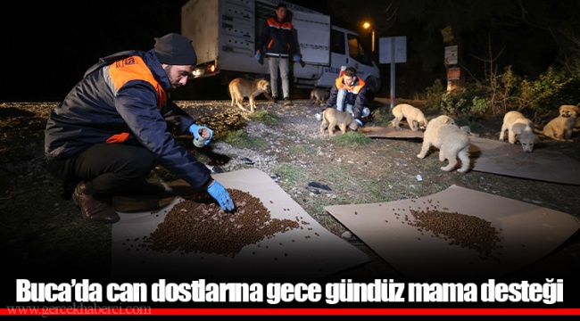 Buca’da can dostlarına gece gündüz mama desteği