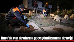 Buca’da can dostlarına gece gündüz mama desteği