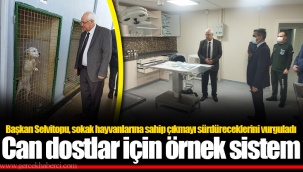 Can dostlar için örnek sistem