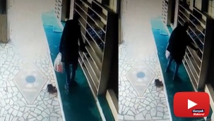 Cemaat namazda, hırsız iş başında
