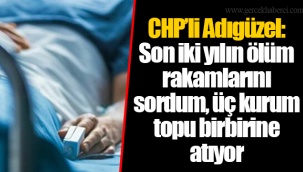 CHP'li Adıgüzel: Son iki yılın ölüm rakamlarını sordum, üç kurum topu birbirine atıyor