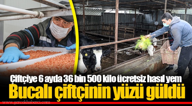Çiftçiye 6 ayda 36 bin 500 kilo ücretsiz hasıl yem