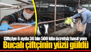 Çiftçiye 6 ayda 36 bin 500 kilo ücretsiz hasıl yem