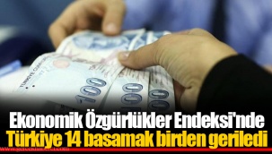 Ekonomik Özgürlükler Endeksi'nde Türkiye 14 basamak birden geriledi