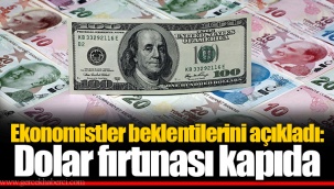 Ekonomistler beklentilerini açıkladı: Dolar fırtınası kapıda