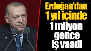 Erdoğan'dan 1 yıl içinde 1 milyon gence iş vaadi