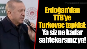 Erdoğan'dan TTB'ye Turkovac tepkisi: Ya siz ne kadar sahtekarsınız ya!