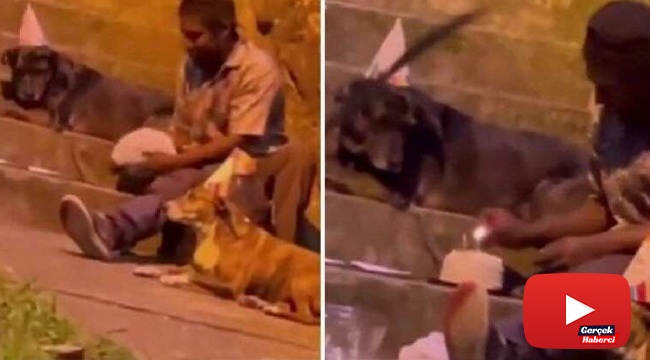 Evsiz adam doğum gününü köpeklerle kutladı