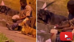 Evsiz adam doğum gününü köpeklerle kutladı