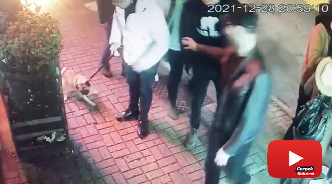 “Gorbi” isimli köpeği çalan hırsızları Beşiktaş polisi yakaladı: Köpek 4 farklı şahsa satılmış