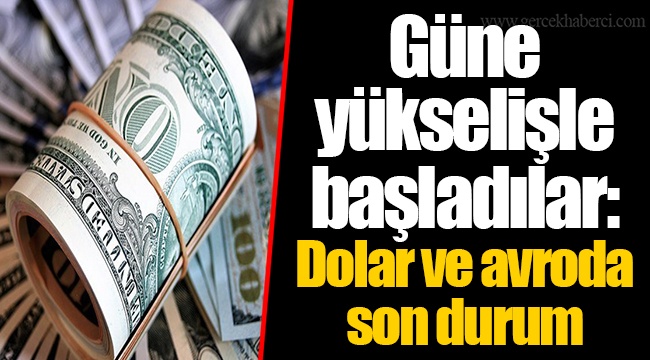 Güne yükselişle başladılar: Dolar ve avroda son durum