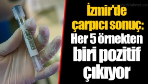 İzmir'de çarpıcı sonuç: Her 5 örnekten biri pozitif çıkıyor