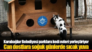 Karabağlar Belediyesi parklara kedi evleri yerleştiriyor