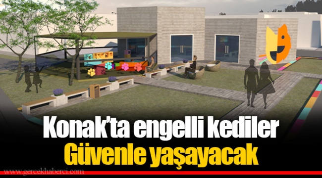 Konak’ta engelli kediler Güvenle yaşayacak