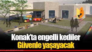 Konak’ta engelli kediler Güvenle yaşayacak