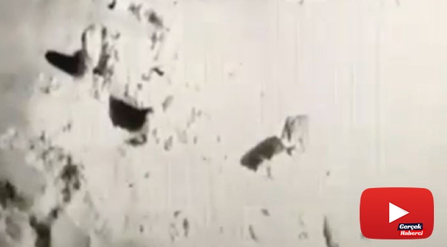 Kurtla köpeklerin kavgasını maç anlatır gibi anlattı