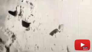 Kurtla köpeklerin kavgasını maç anlatır gibi anlattı