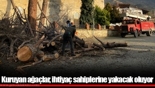 Kuruyan ağaçlar, ihtiyaç sahiplerine yakacak oluyor