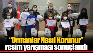 “Ormanlar Nasıl Korunur” resim yarışması sonuçlandı