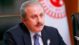 Şentop'tan Semra Güzel açıklaması: Yargılamanın önü açılmalı
