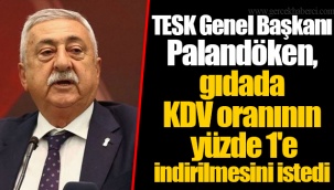 TESK Genel Başkanı Palandöken, gıdada KDV oranının yüzde 1'e indirilmesini istedi