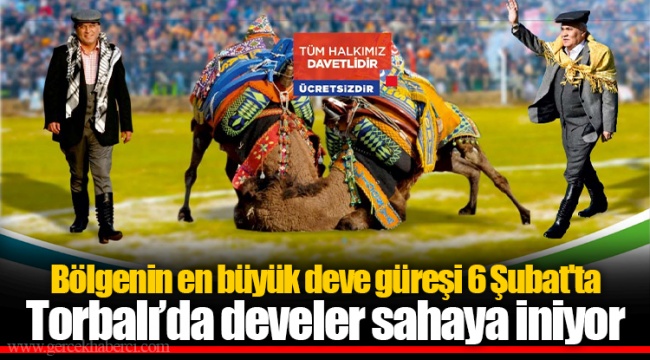 Torbalı’da develer sahaya iniyor