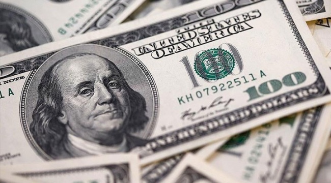 TÜİK: Dolar reel getiride yılı zirvede kapattı