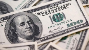 TÜİK: Dolar reel getiride yılı zirvede kapattı
