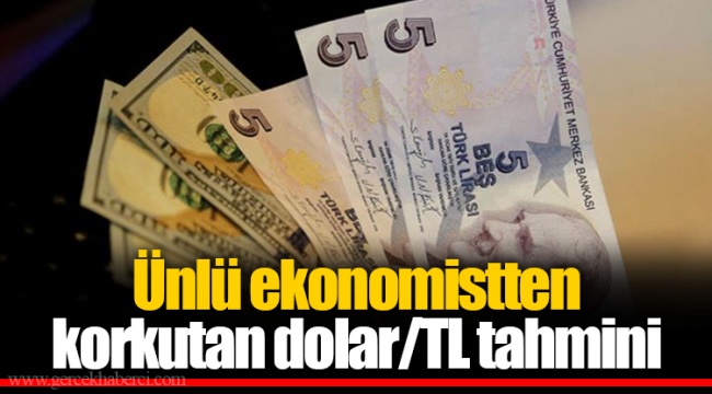 Ünlü ekonomistten korkutan dolar/TL tahmini