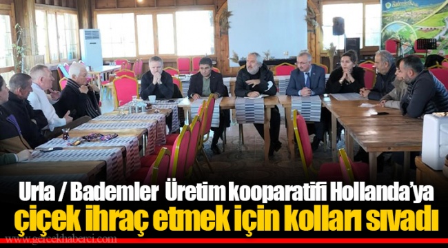 Urla / Bademler Üretim kooparatifi Hollanda’ya çiçek ihraç etmek için kolları sıvadı