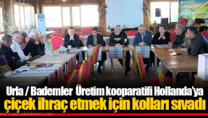Urla / Bademler Üretim kooparatifi Hollanda’ya çiçek ihraç etmek için kolları sıvadı