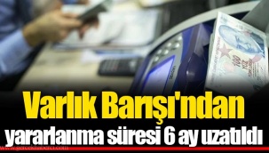 Varlık Barışı'ndan yararlanma süresi 6 ay uzatıldı
