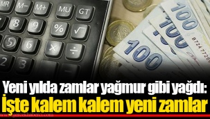 Yeni yılda zamlar yağmur gibi yağdı: İşte kalem kalem yeni zamlar