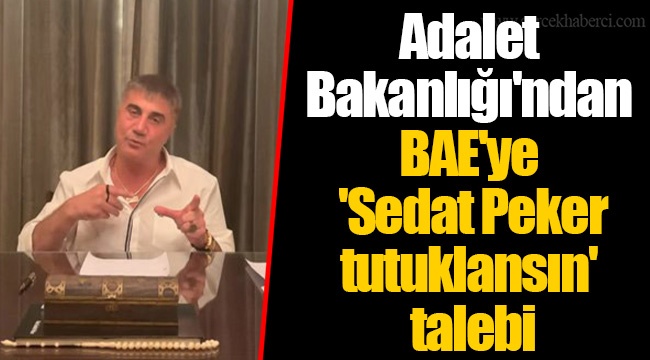 Adalet Bakanlığı'ndan BAE'ye 'Sedat Peker tutuklansın' talebi