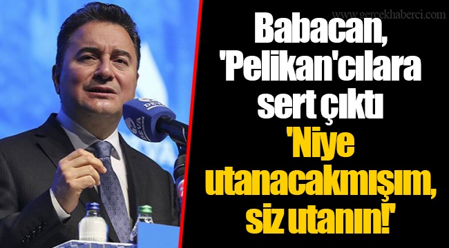 Babacan, 'Pelikan'cılara sert çıktı... 'Niye utanacakmışım, siz utanın!'