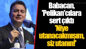 Babacan, 'Pelikan'cılara sert çıktı... 'Niye utanacakmışım, siz utanın!'