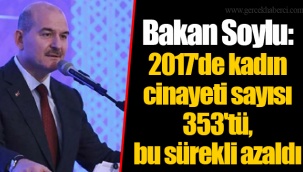 Bakan Soylu: 2017'de kadın cinayeti sayısı 353'tü, bu sürekli azaldı