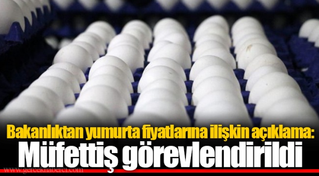 Bakanlıktan yumurta fiyatlarına ilişkin açıklama: Müfettiş görevlendirildi