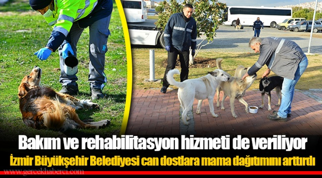 Bakım ve rehabilitasyon hizmeti de veriliyor