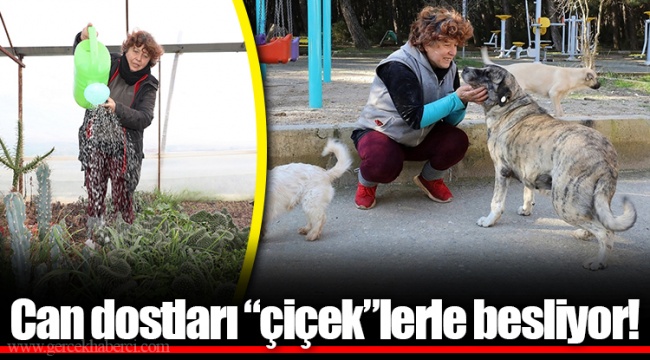 Can dostları “çiçek”lerle besliyor!