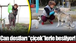Can dostları “çiçek”lerle besliyor!