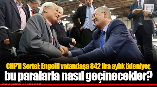 CHP’li Sertel: Engelli vatandaşa 842 lira aylık ödeniyor, bu paralarla nasıl geçinecekler?