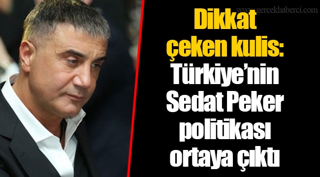 Dikkat çeken kulis: Türkiye’nin Sedat Peker politikası ortaya çıktı