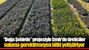 “Doğa Şehirde” projesiyle İzmir’de üreticiler sulama gerektirmeyen bitki yetiştiriyor
