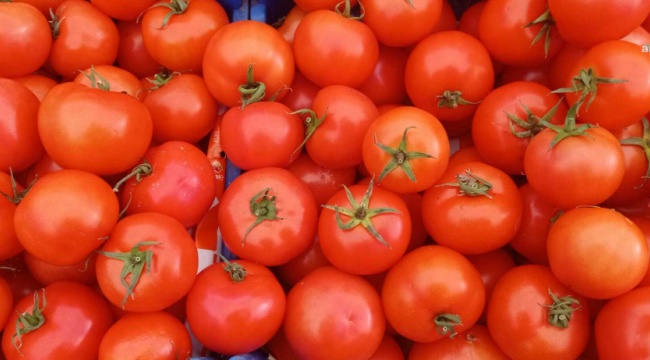 Domatesin Hal Fiyatında Rekor Artış: Yüzde 142,87