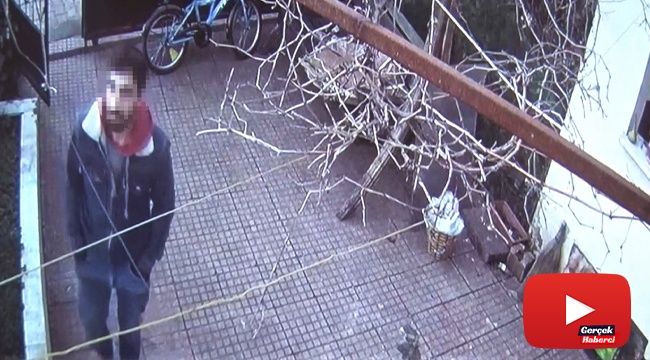 Elleri cebinde hırsız, muhabbet kuşunu çaldı